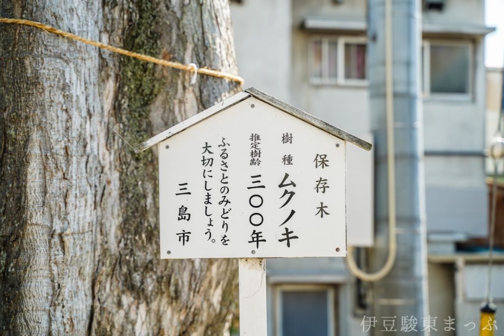 秋葉神社|三島市加屋町の神社 伊豆駿東まっぷ 秋葉神社|三島市加屋町の神社 伊豆駿東まっぷ